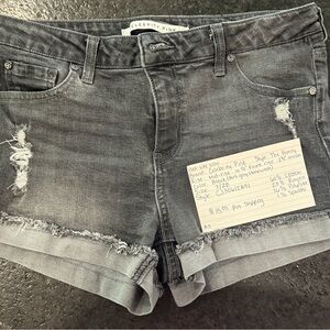 Celebrity Pink – “The Honey” Shorts $15 + Shipping